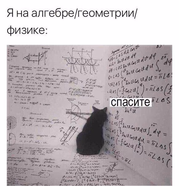 c52e2642bc639a11905f176884430de2.jpg