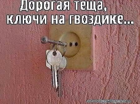 c53c41a0bb5a78cdcd0d1ff763dd9960.avif
