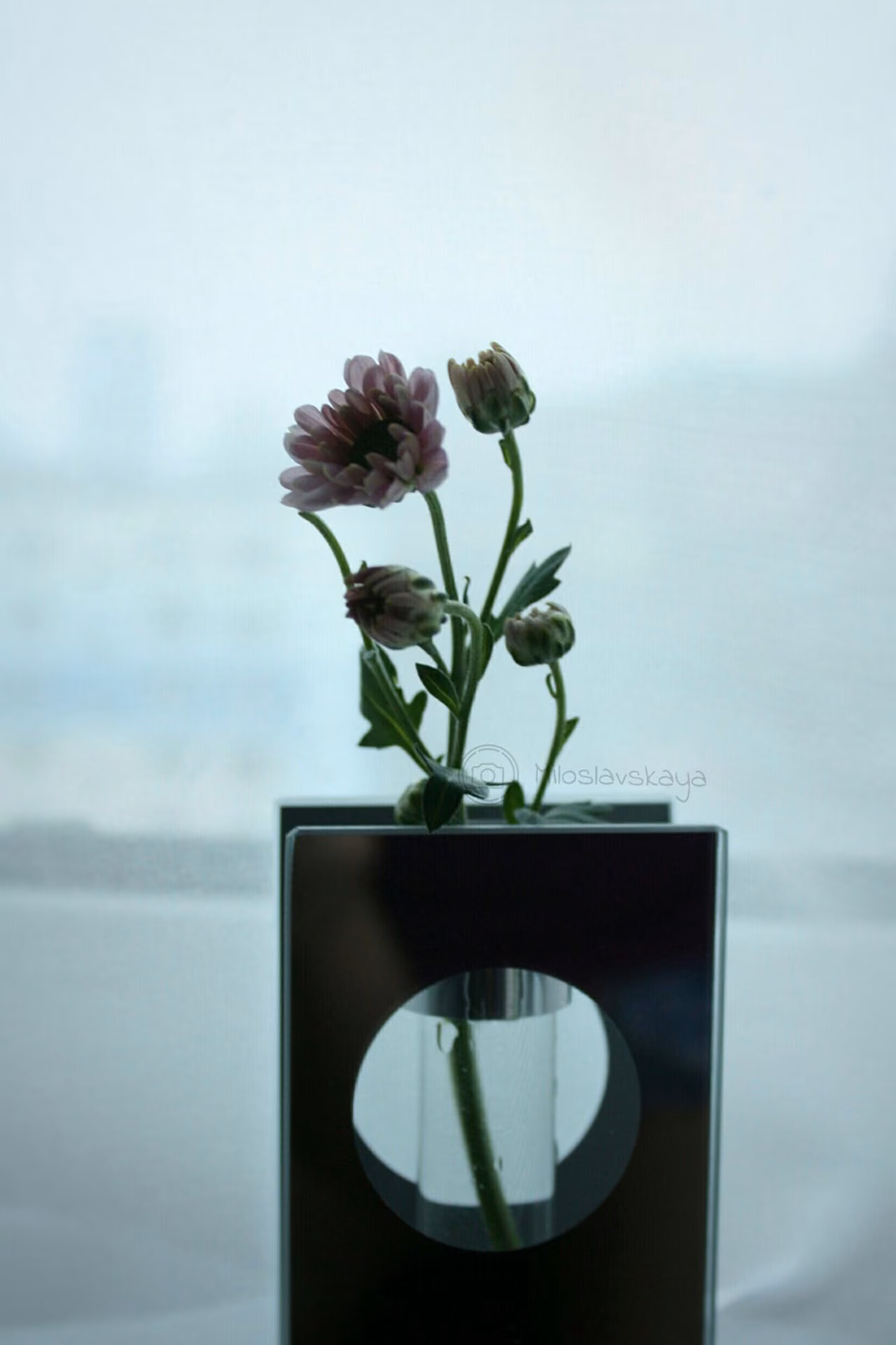 c54d1eae1ffe170b49f1392e9ed9482d.jpg