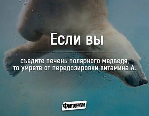 c556fa20ce89f5ae24812250fc9f0e16.jpg