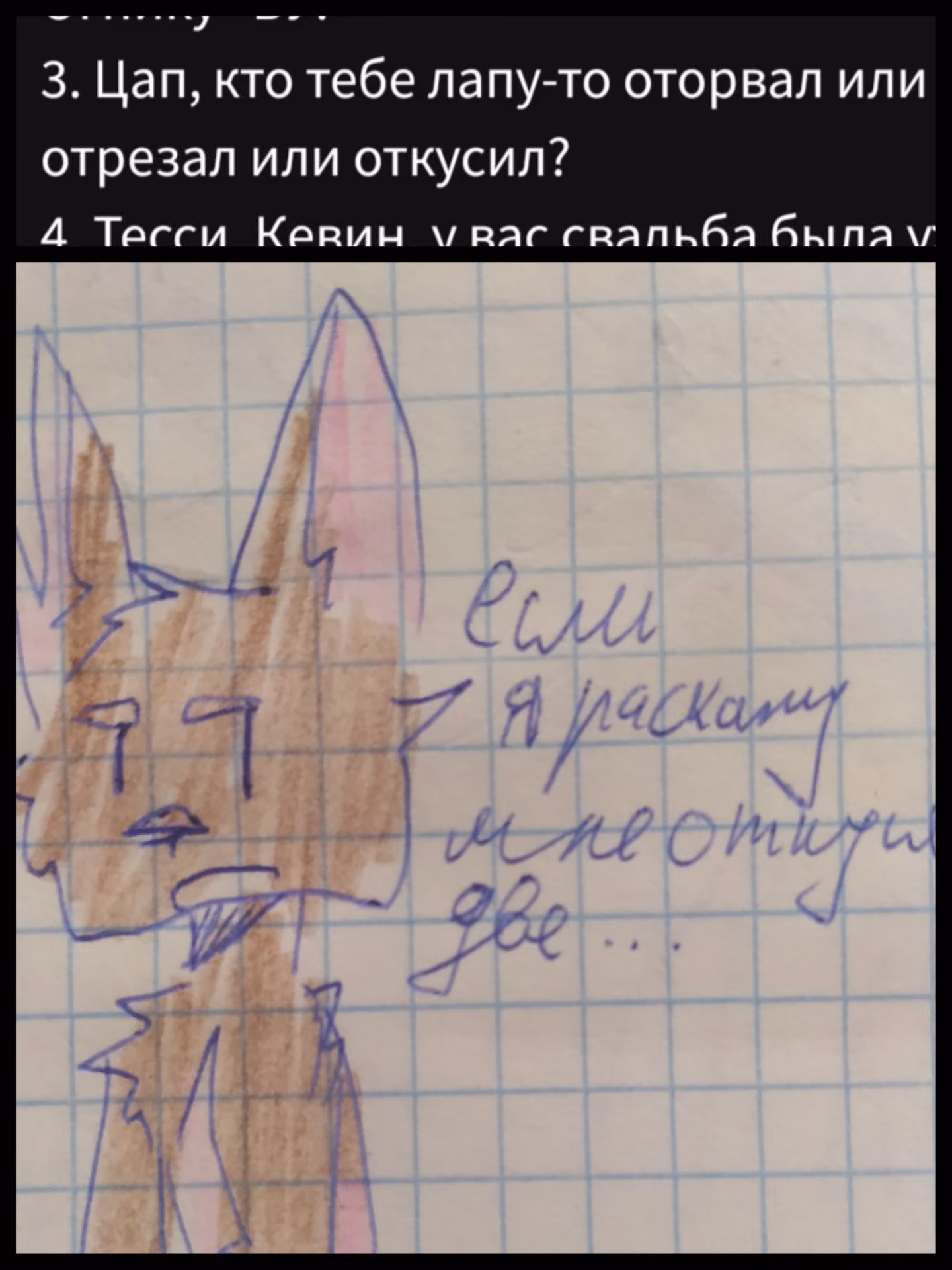 c570610d041888ba7fb83bf94549a9df.avif