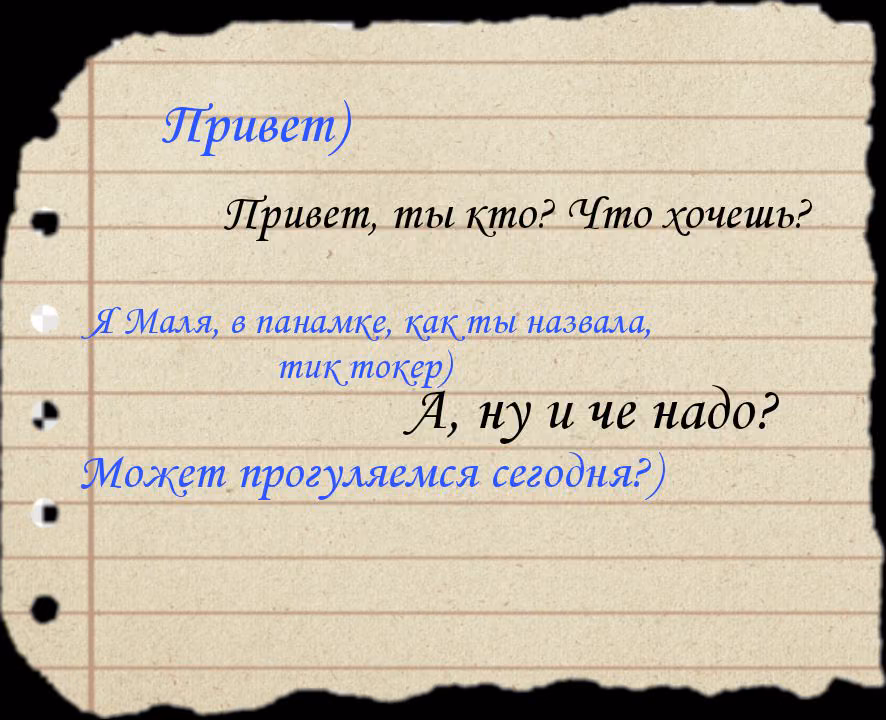 c5765200539042a42ae85cf55685387f.avif