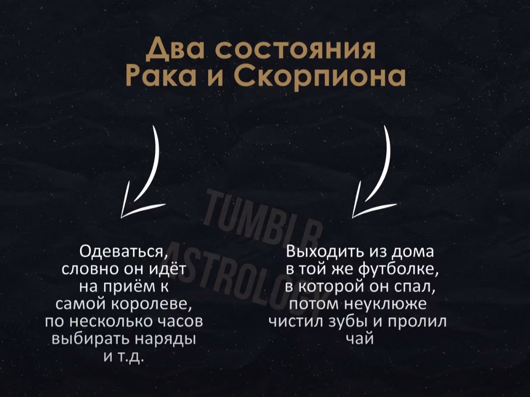c578505a20356d41d47e4e4314408cb8.avif
