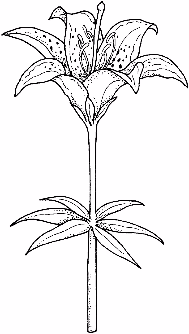 c5923eca9f1d6b6de4cf764537f6ec76.jpg