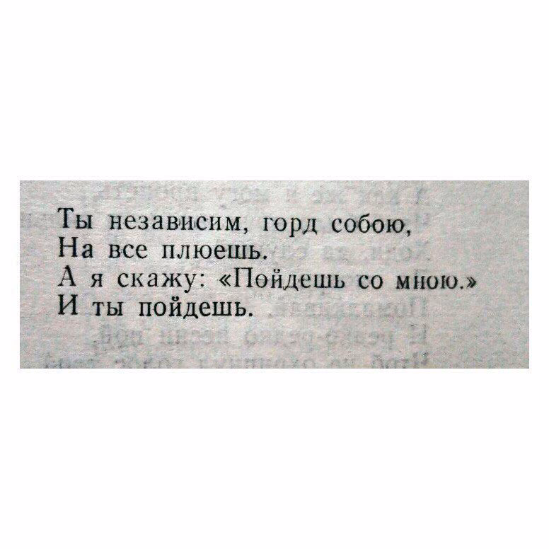 c5a021e0c7571a9e0c33540091519348.jpg