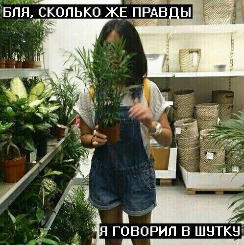 c5a0c5dfa11dc7e728fee1ba1f678bb6.jpg