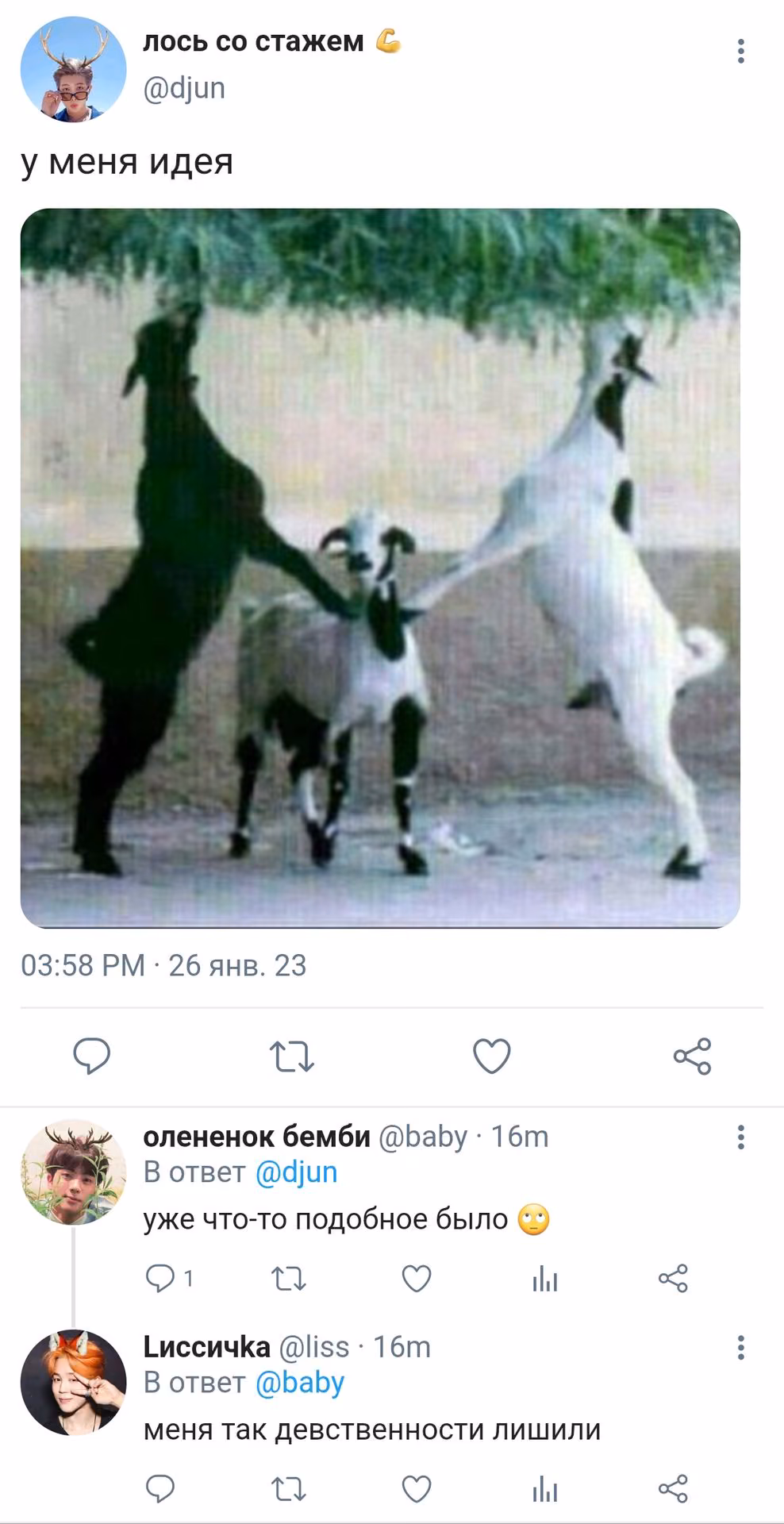 c5ac5590c33fc77ae9e461acc23d438b.avif
