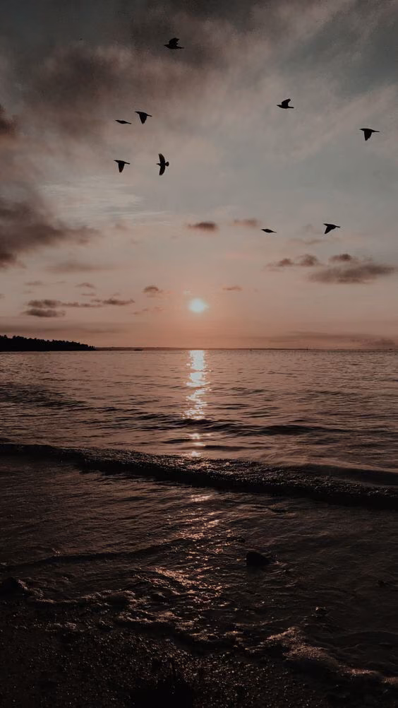 c5b45fa3dd12b3ae19c15585ab85ce0d.jpg