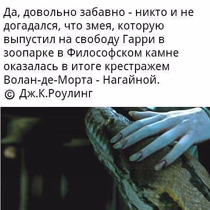 c5dbbf1efc1685744ca91ae98883e2d9.avif