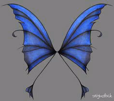 c5e58aa52d3df2af9f0b2cce42bdc27b.jpg