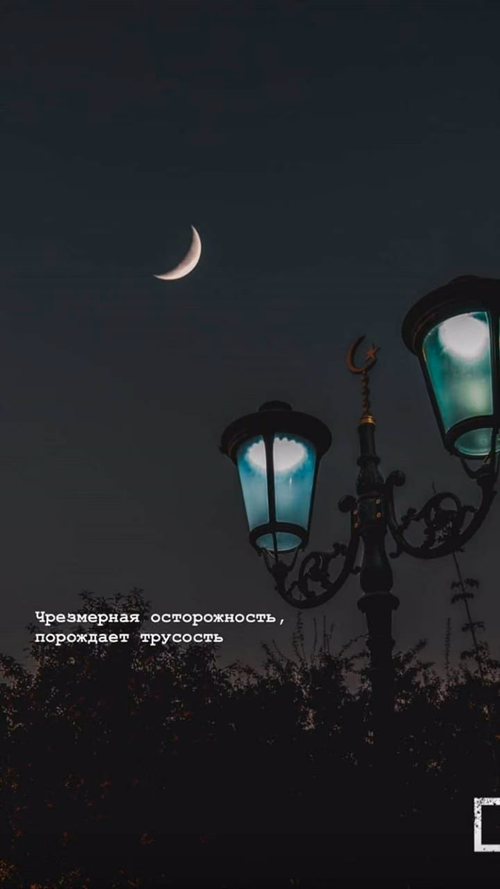 c6022352553e6c384fa14e86cd1aeacc.jpg