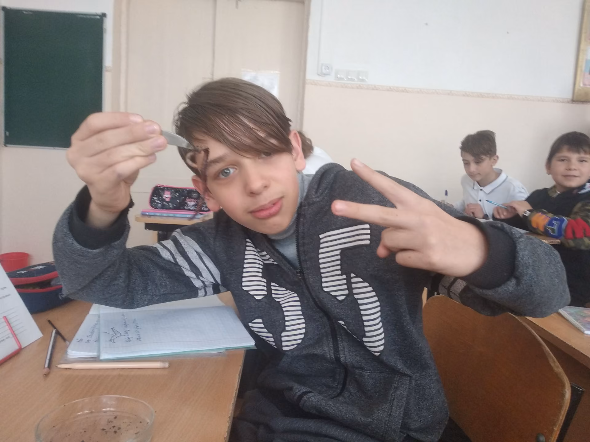 c6080b2441e298e6c5e0bde473df8aae.jpg