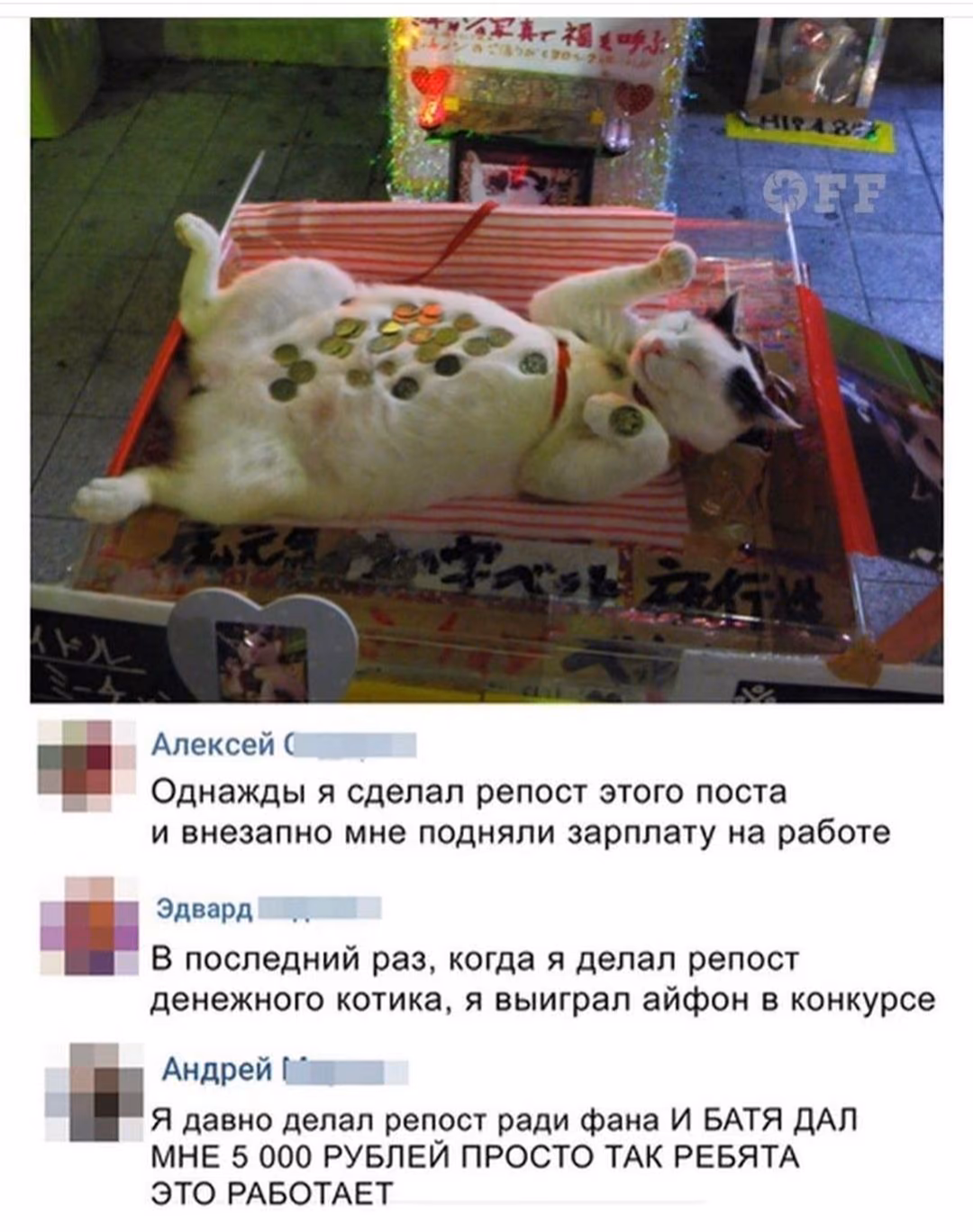 c6084206b977c3e0b66679ddbcb41ff2.avif