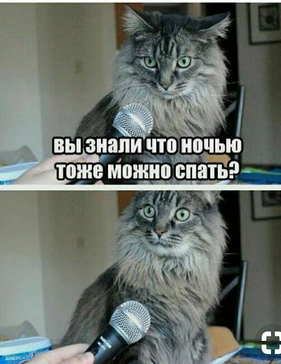 c60bc8faf3af0d2984229f3026dde9b3.jpg