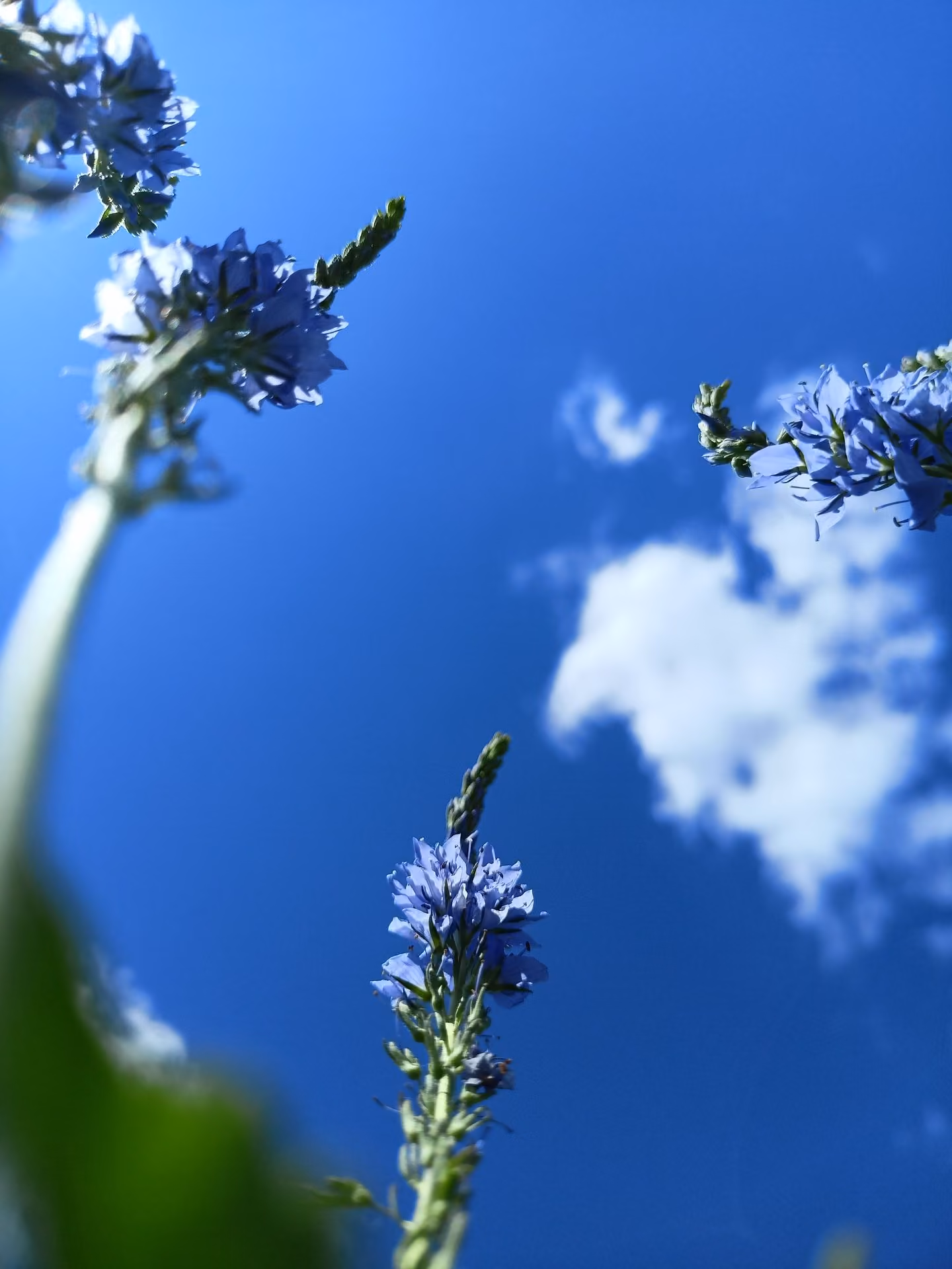 c6108f2f8fa7f16a7dd57b58deef350e.jpg