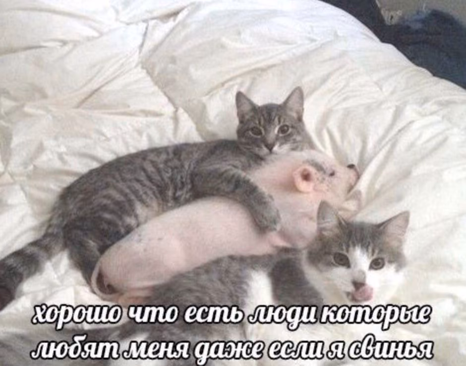 c612630e1a679115ed32ff6991db78fe.avif