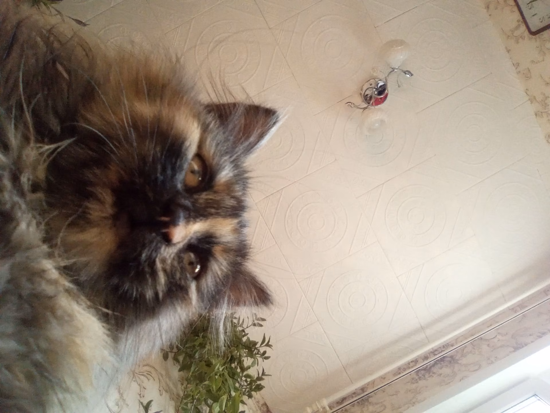 c61799c9c6190ebc132f73f91c26fa55.jpg