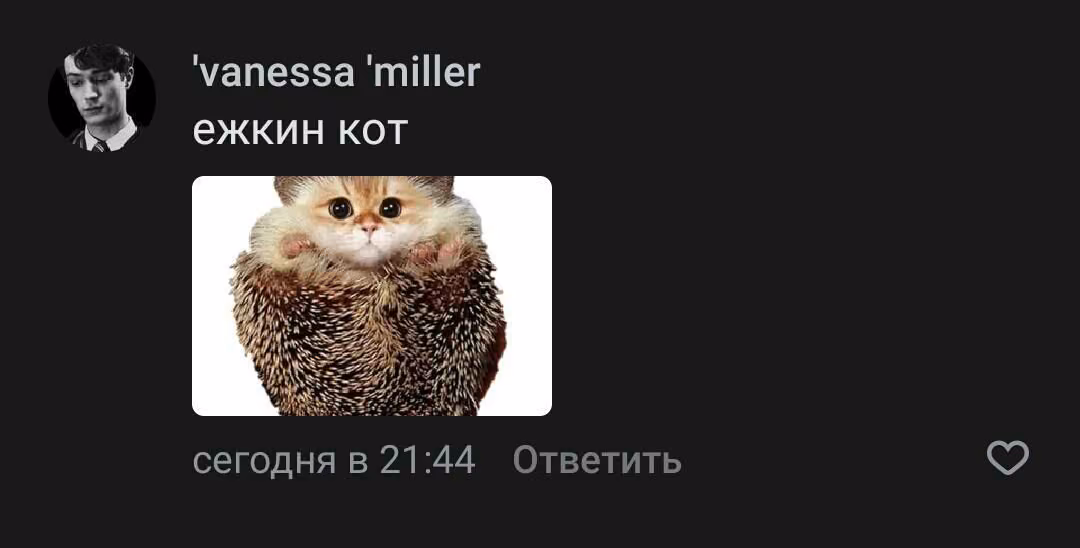 c619f13625196ef961e201973a94a5ea.avif