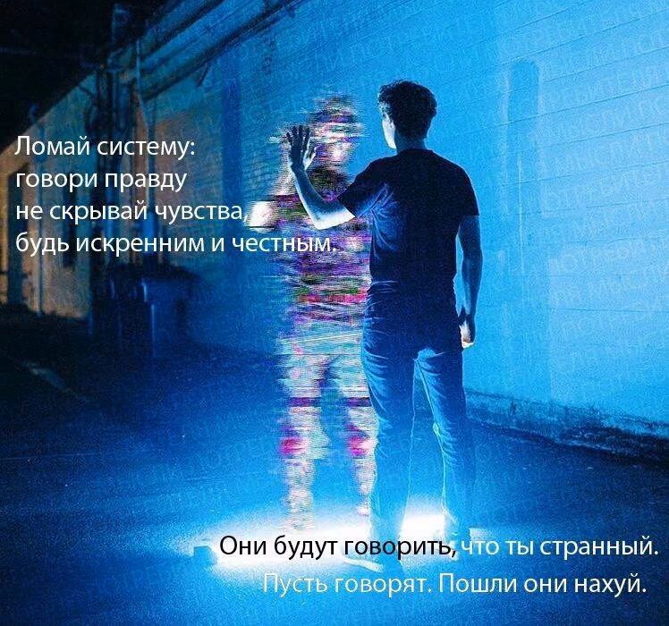 c61ee3f8a458e15d275440887d22eb98.avif