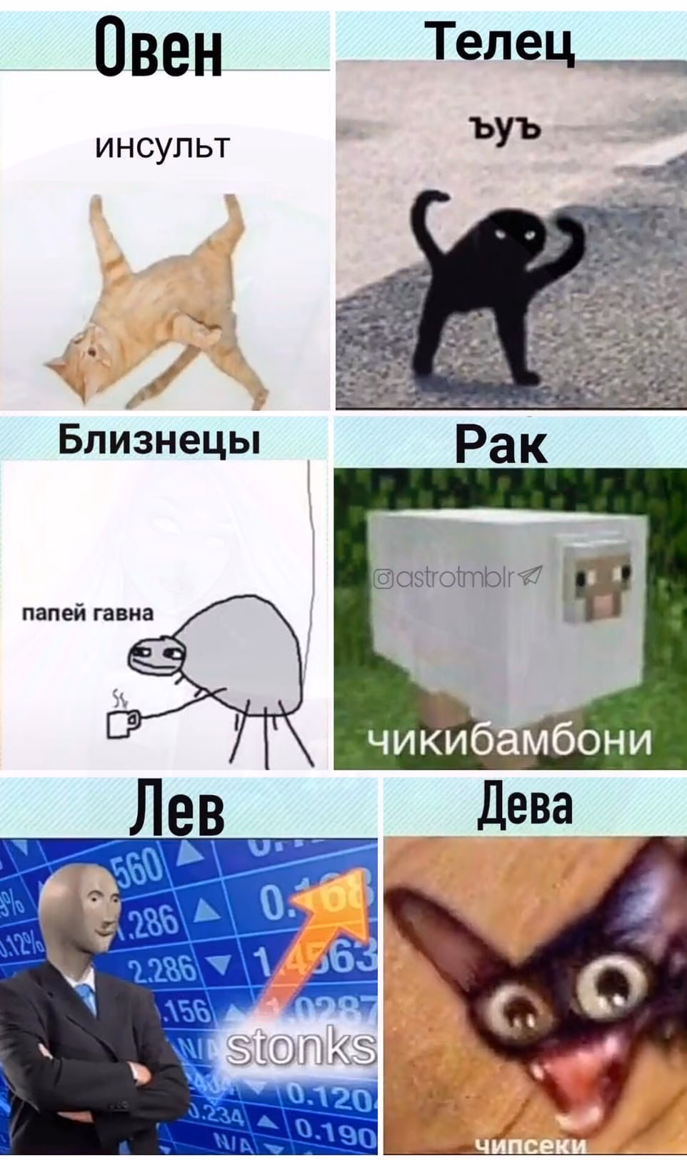 c6258d47119f458da6c1226b3f5da46b.avif
