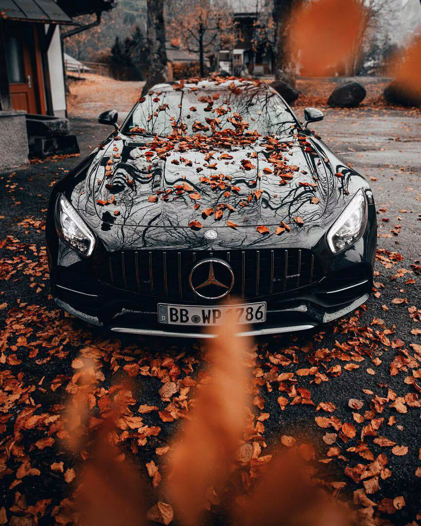 c639045e3f570d26280089292411c0cf.avif