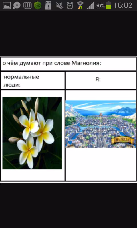 c64d30364f44fea106e040cbab8a03d8.jpg