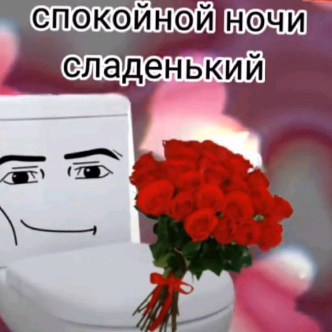 c64d880a404a0d87f562cd276d7bd98e.avif