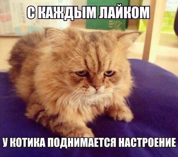 c65961e6677815fbde31e458b582bbdf.jpg