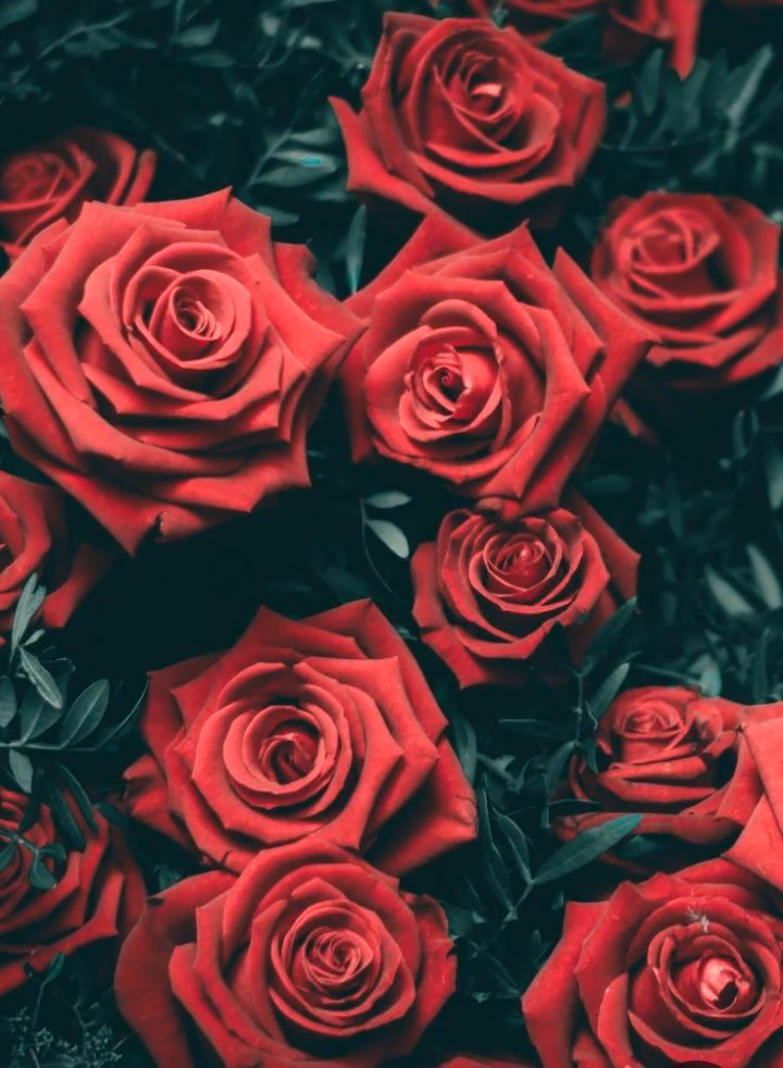 c66b9957894079d904e8f15eee75a7f8.jpg