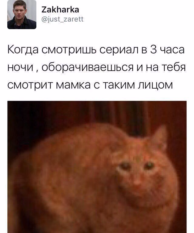 c676c196c5561d96e59381b6bb71f4fc.avif