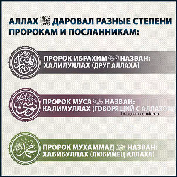 c6780b74a85f3a79229249030829a666.avif