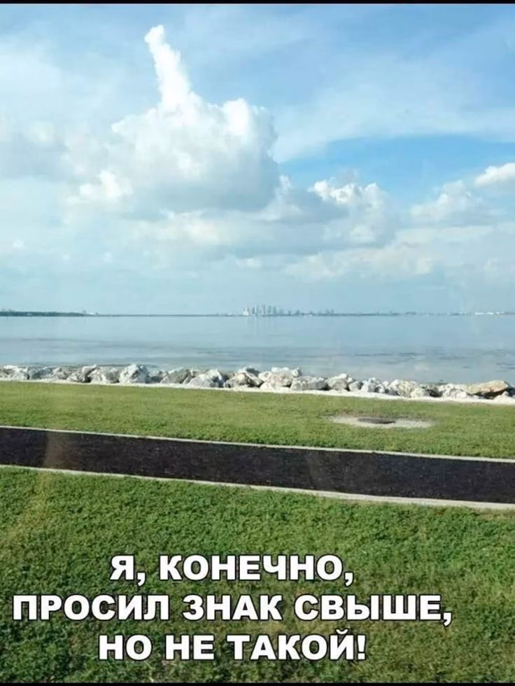 c68511a1cf57310772996b7c46f90905.avif