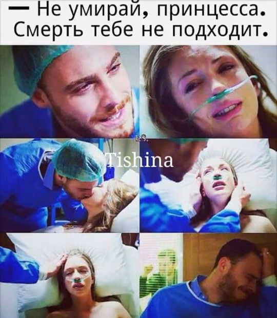 c68f4e4bb216b2913c983b9173fed977.avif