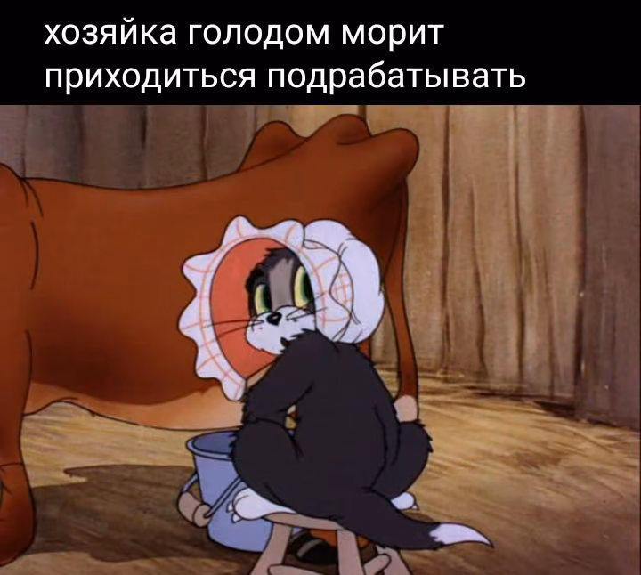 c690bbd7681398a328062fefdbd84a43.jpg