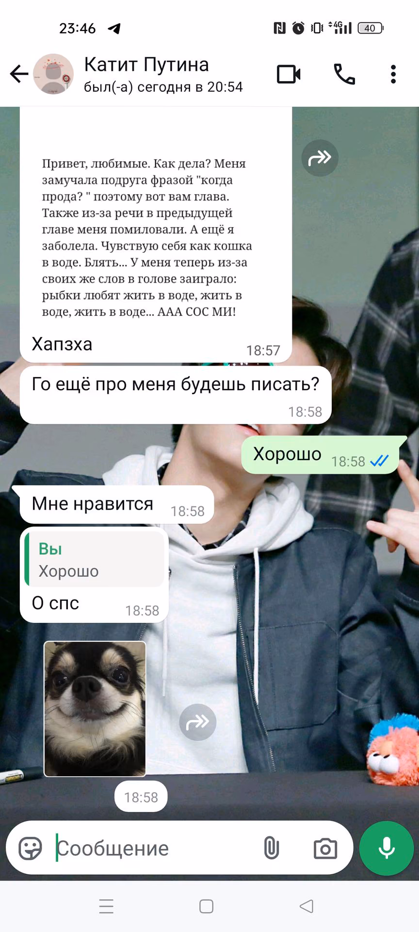 c690c1c0cfdcb486a06bdd0cf53fccd6.avif