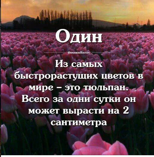 c6b088b7d8461d980c65bfcb2ea1d3b9.jpg
