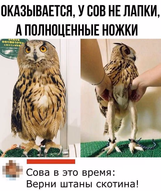 c6bd22479e61154701060f770dc2d71b.avif