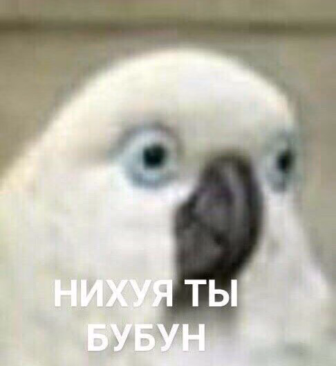 c6c03cef3eef04473ca52bcba85e3aaa.jpg