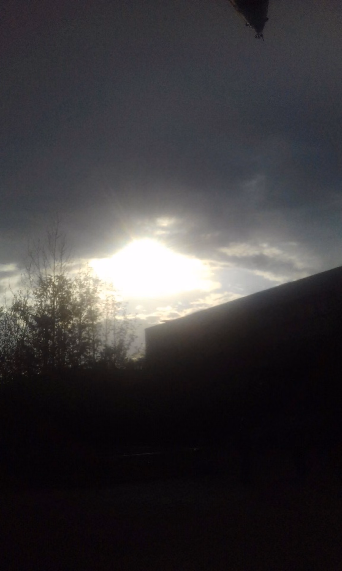 c6cc43ed4a744ee52973ebee647264b7.jpg