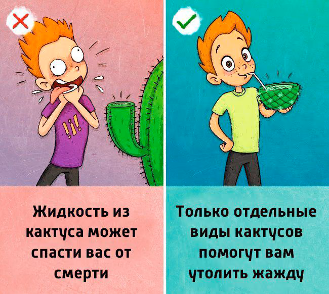c6cd470e3b3cbda7369555e41edf21c0.jpg