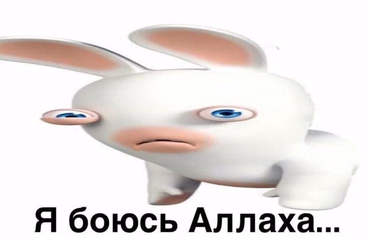 c6cec0e10b3639c69f71159ecd9f50b9.jpg