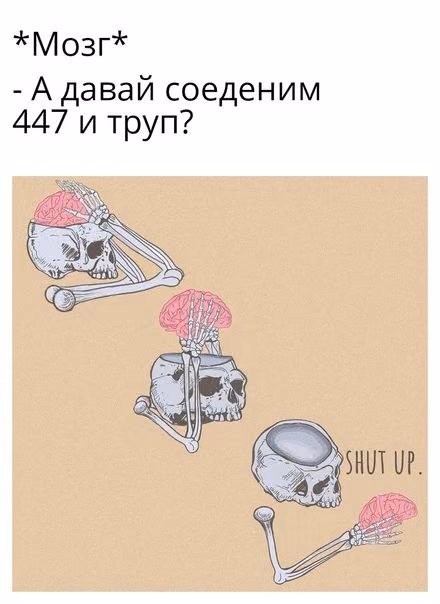 c6da3efd1d9e8ef48d4a6690095a763e.avif
