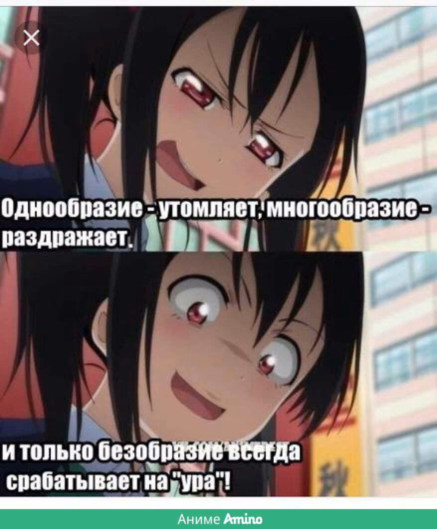 c6e785a670d89e295514d7b68bf2c78b.avif