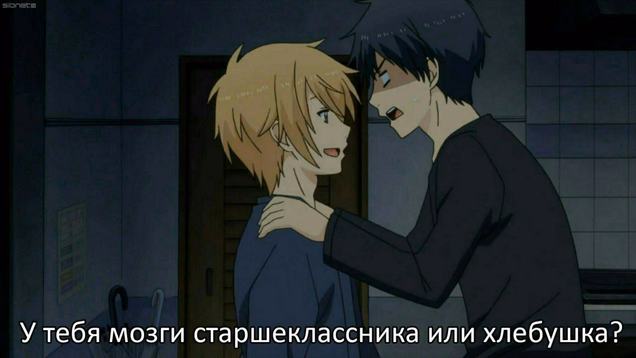 c6e81becab6f50a449fe3d03926c295e.avif