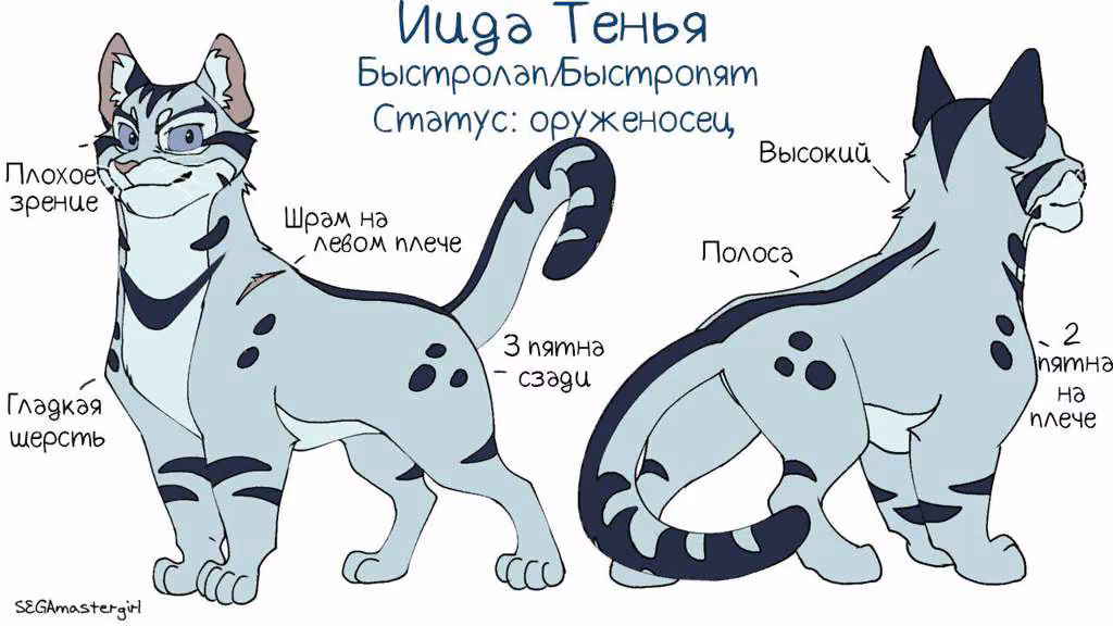 c6e865cea11c59d36fc9586949a0e13e.jpg