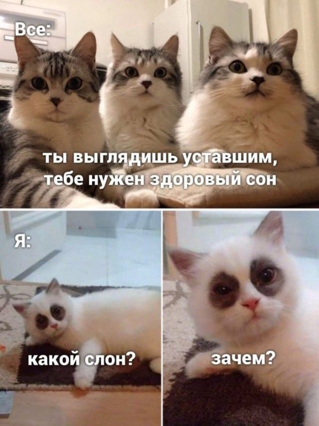 c6ea21b27e387efb53bafde317e1dc06.jpg