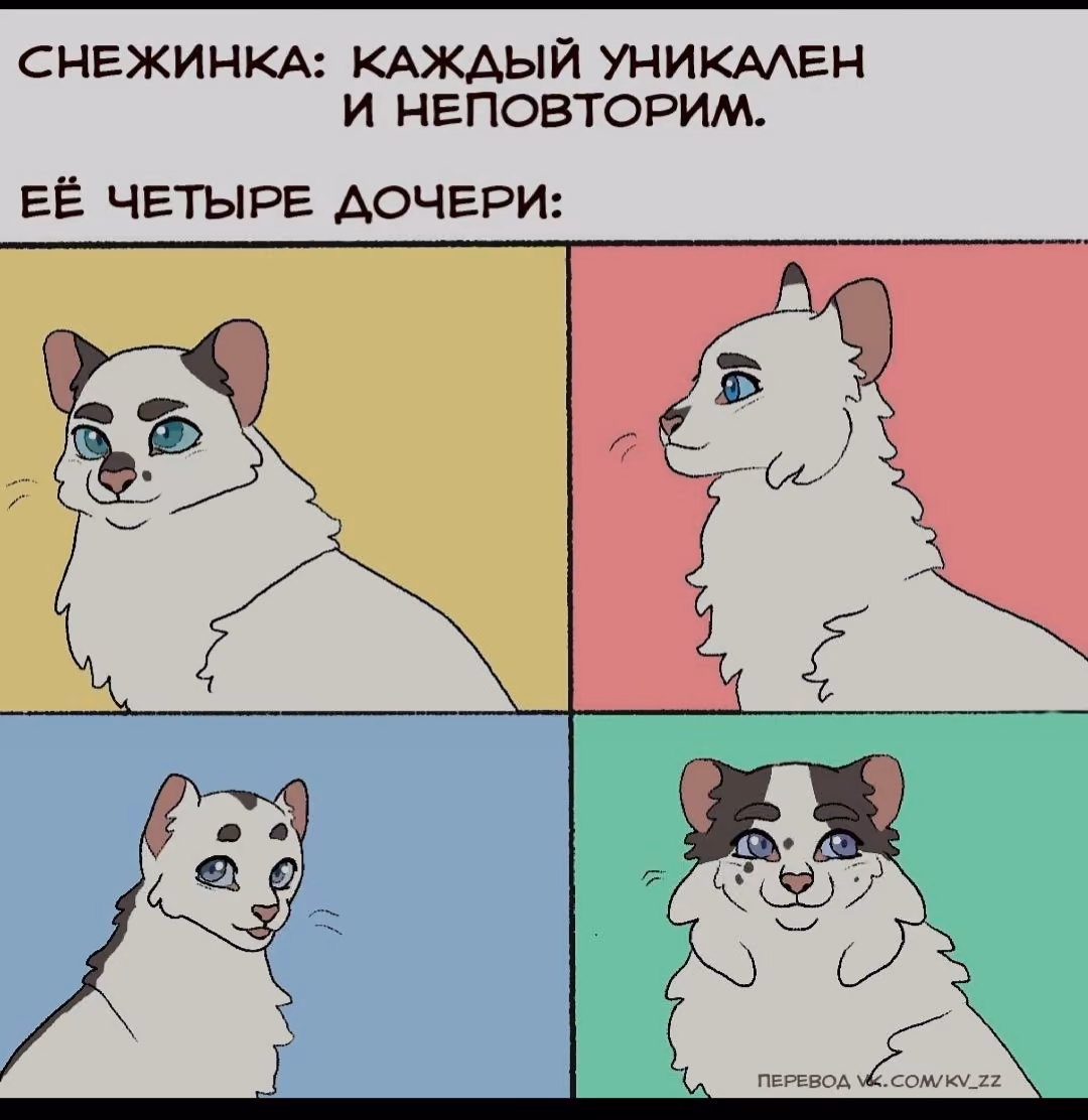 c6f608449306a47f958a0d772410077d.avif