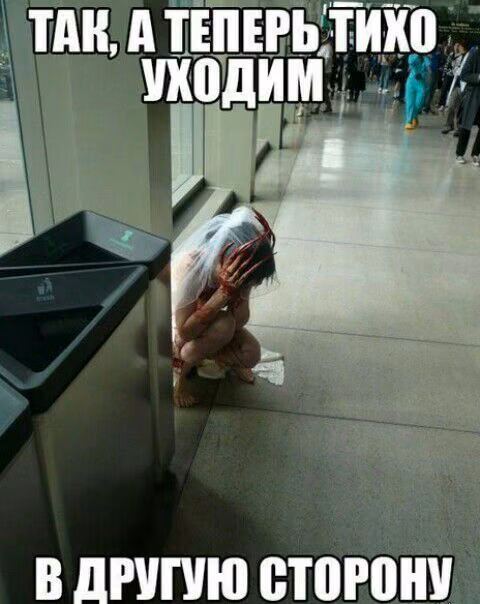 c6fe41c564dbbafcb5f87b5ddf0a404e.jpg