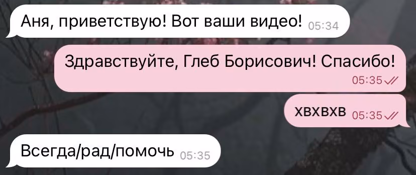 c713ea87ba226c929495f5cadb488d6f.avif
