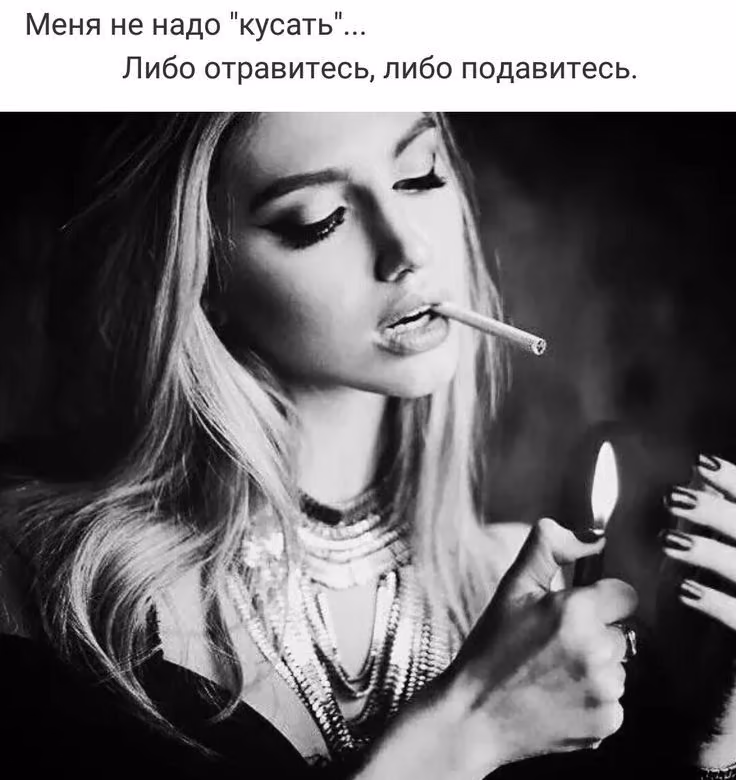 c72a51fc51df38907e5391be85bd3361.avif